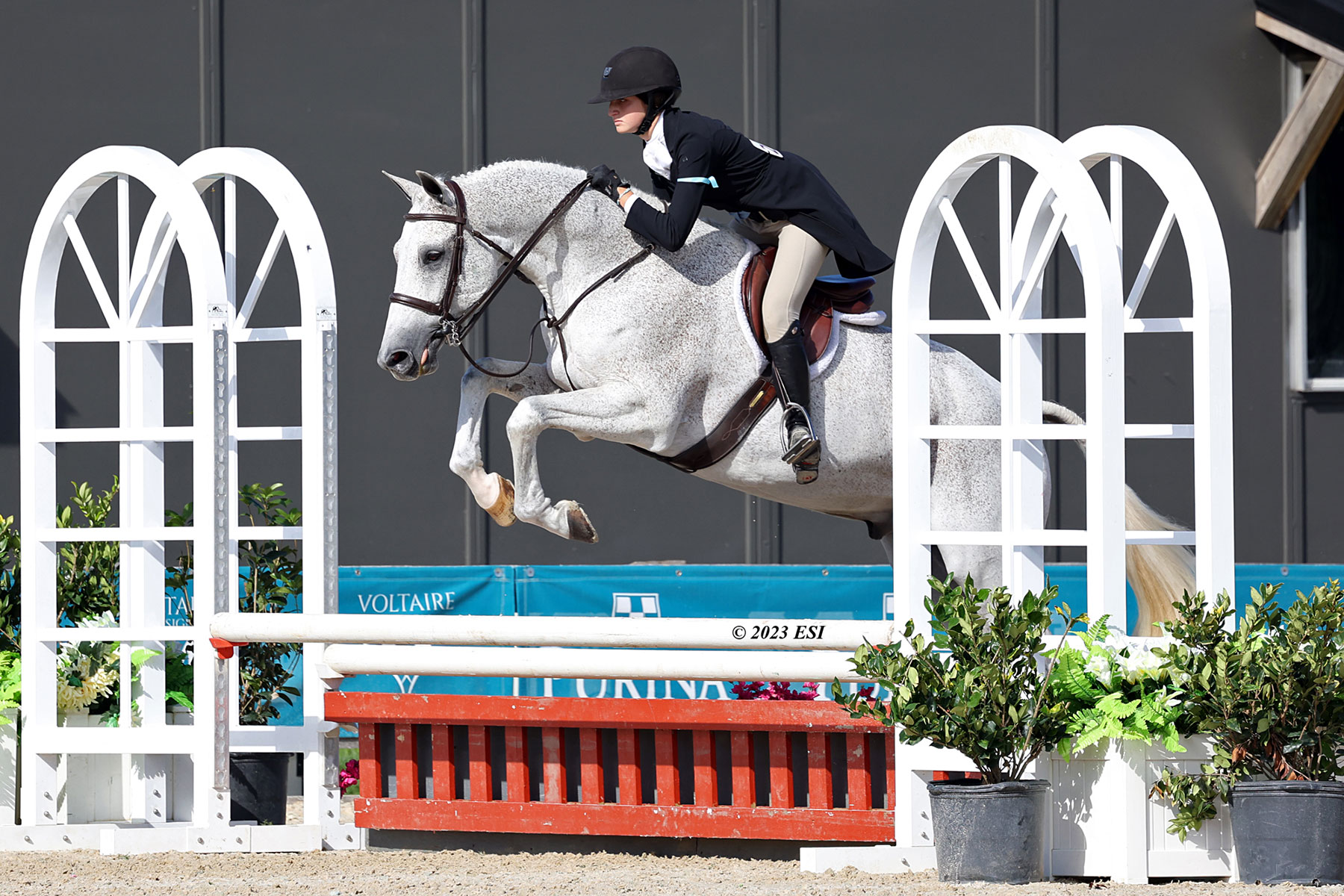 Hunter rider jumping a horse