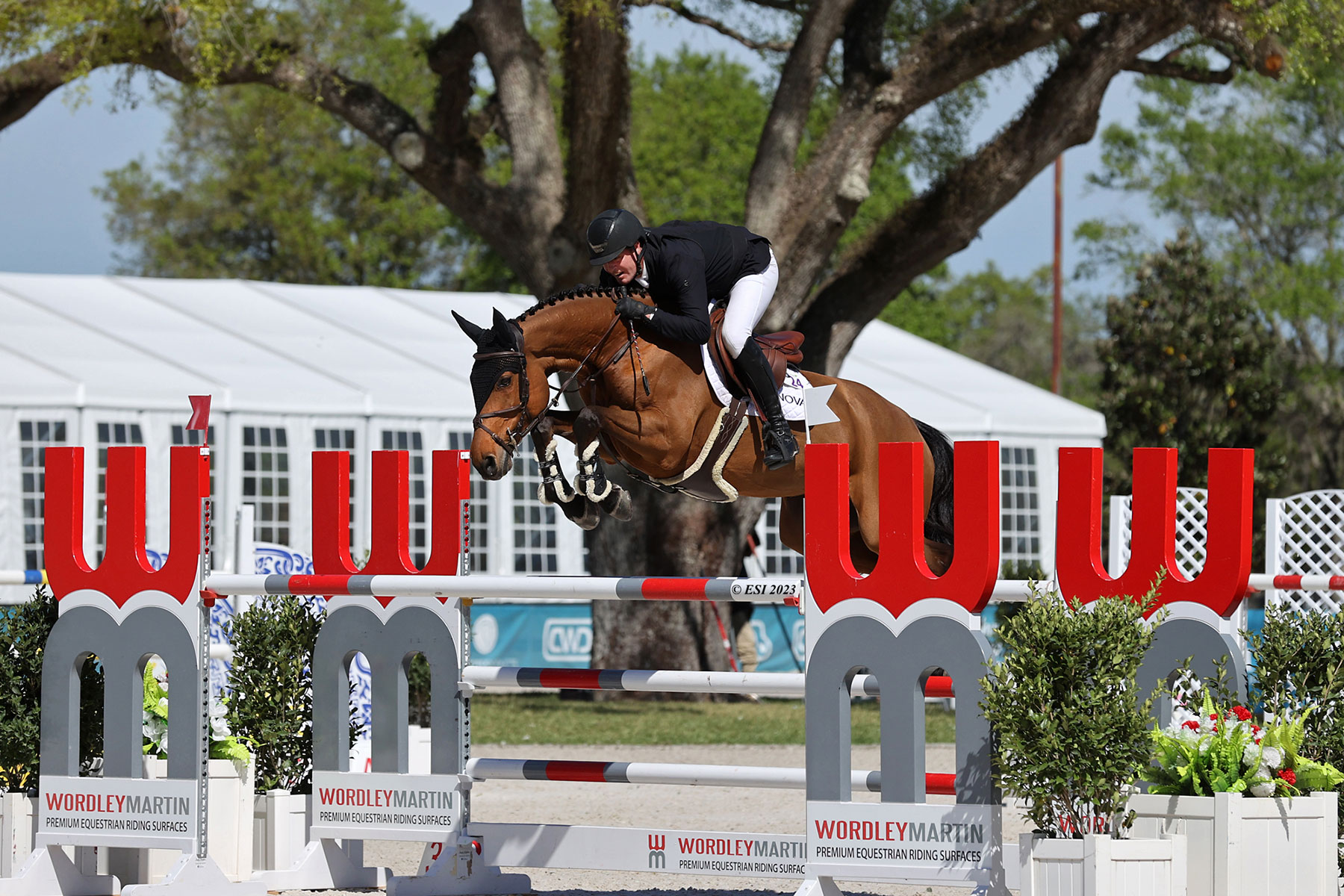 Jumper rider jumping a horse