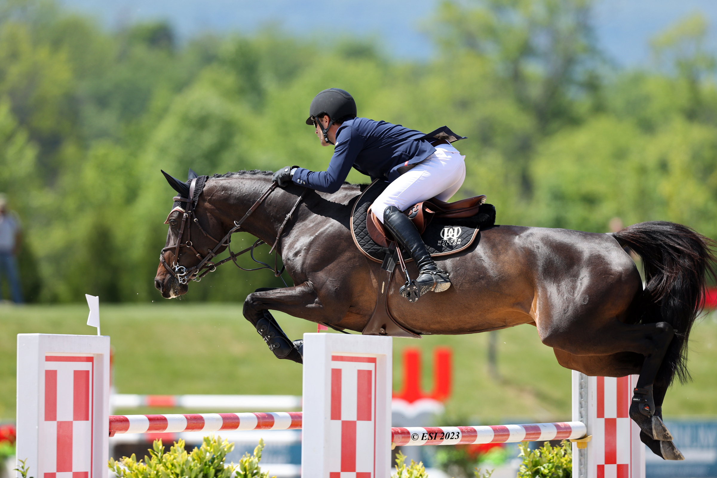 Jumper rider jumping a horse