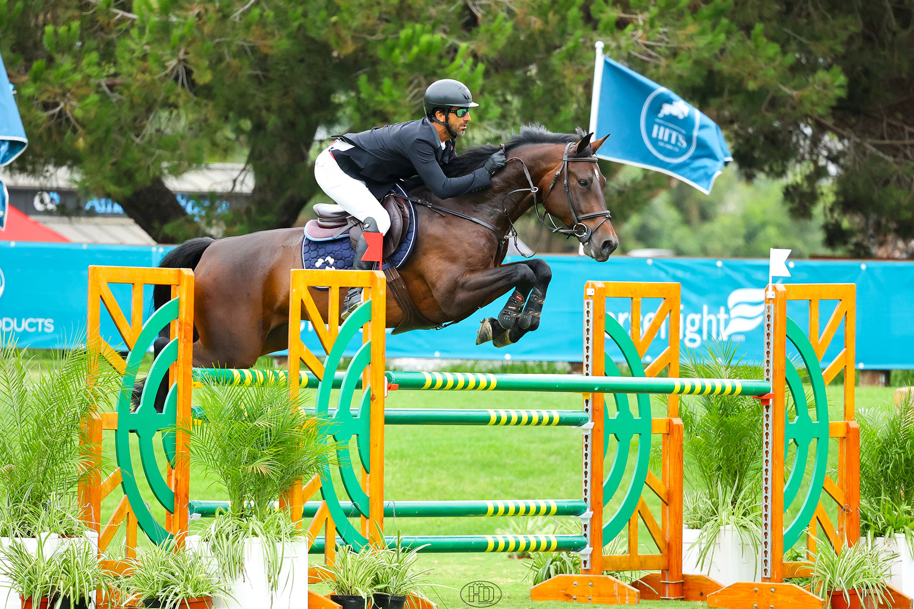 Jumper rider jumping a horse