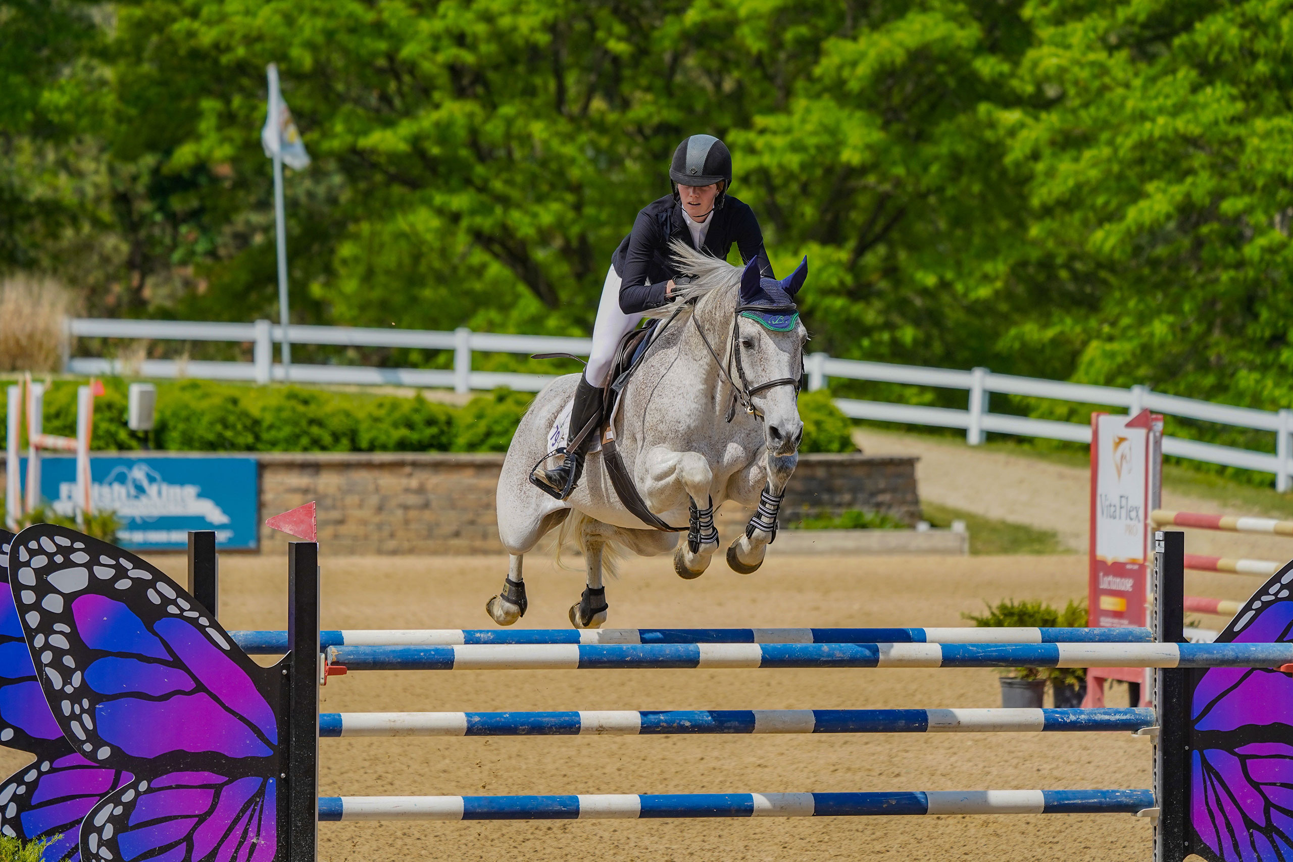 Jumper rider jumping a horse