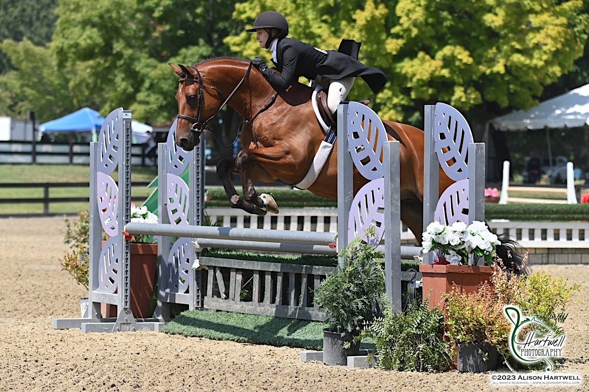 Hunter rider jumping a fence