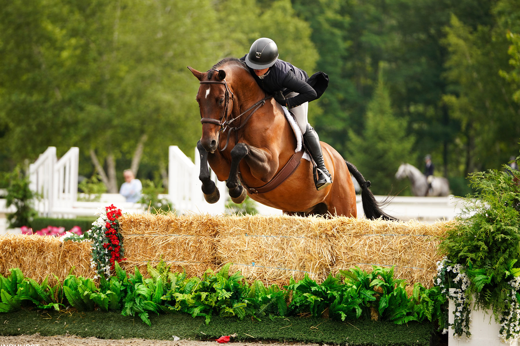 Hunter rider jumping a horse