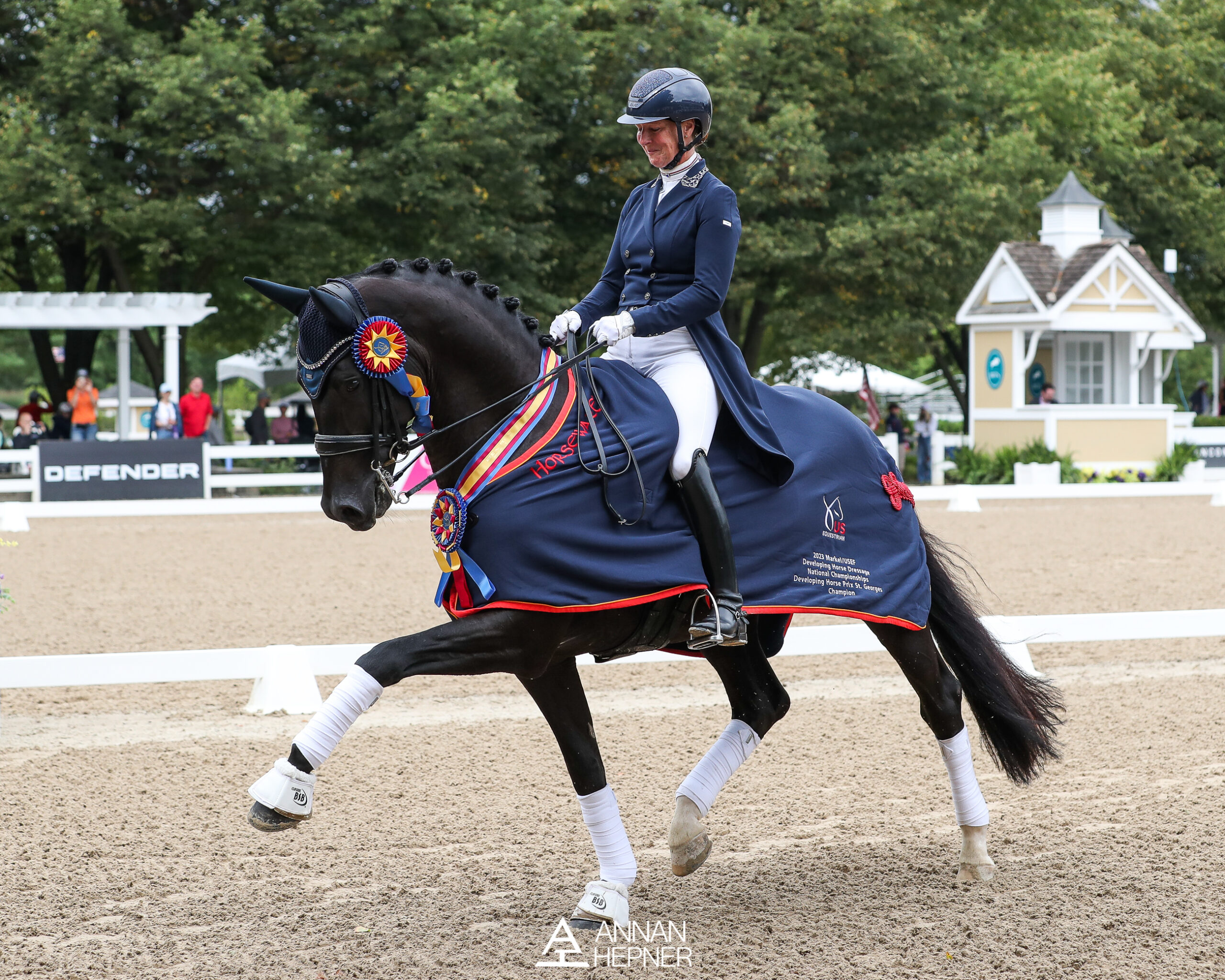 Dressage rider