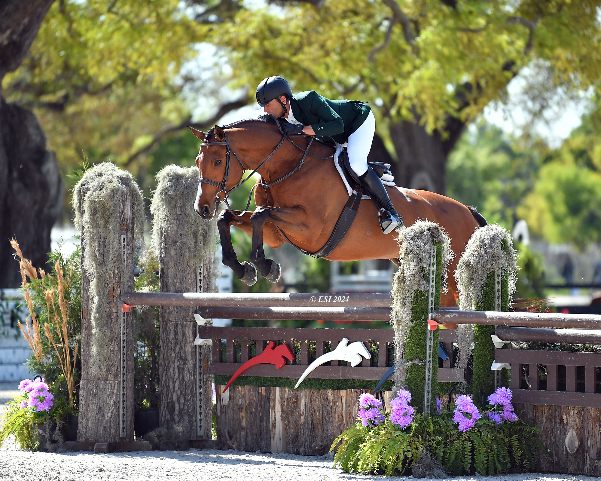 Hunter rider jumping a fence