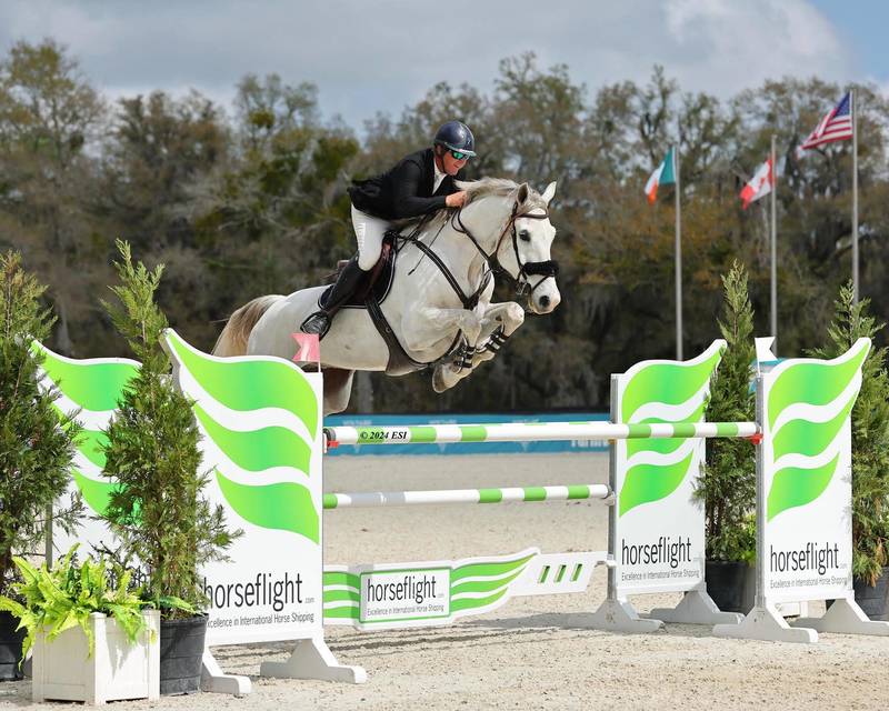 Jumper rider jumping a fence