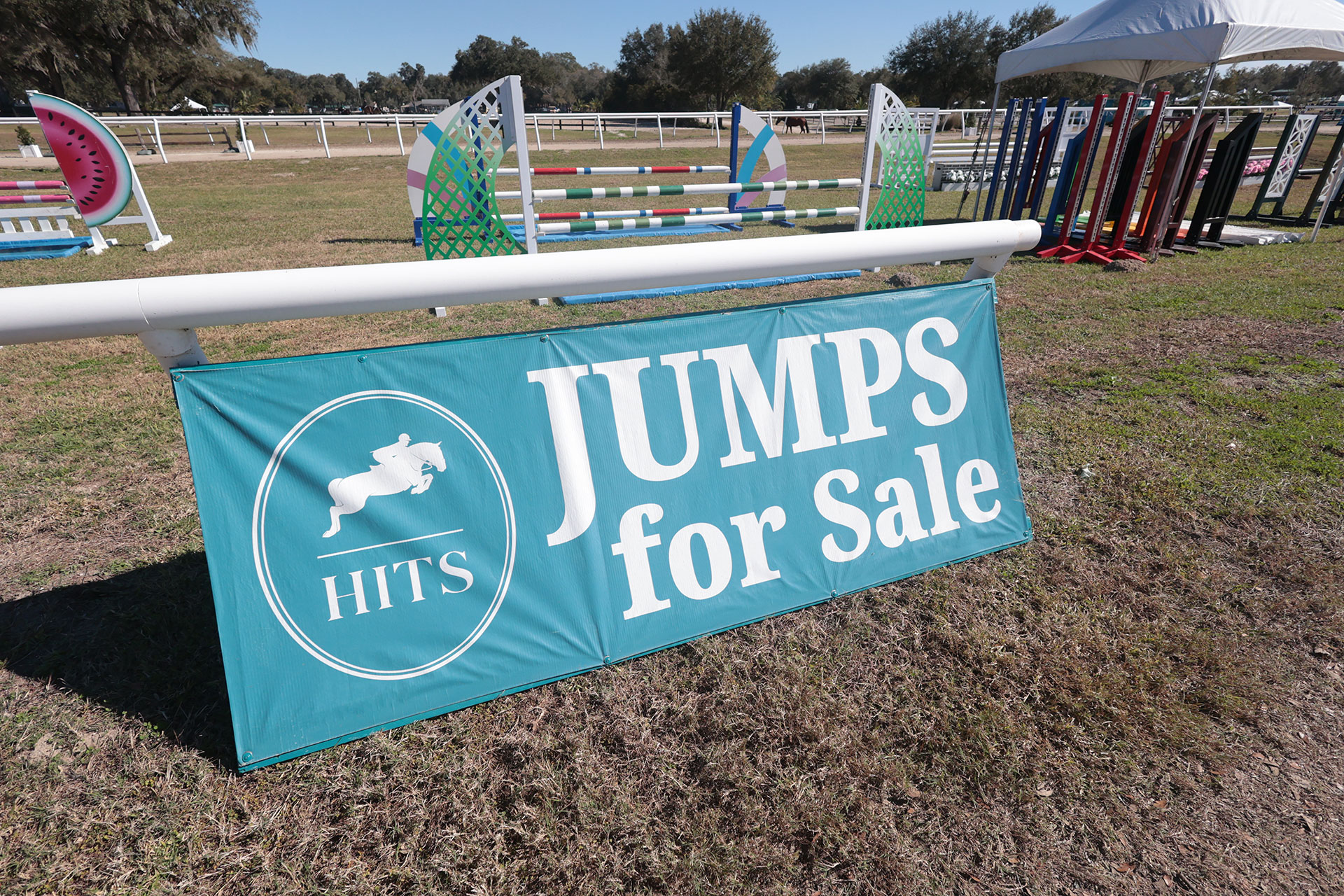 Image of HITS Jumps for sale