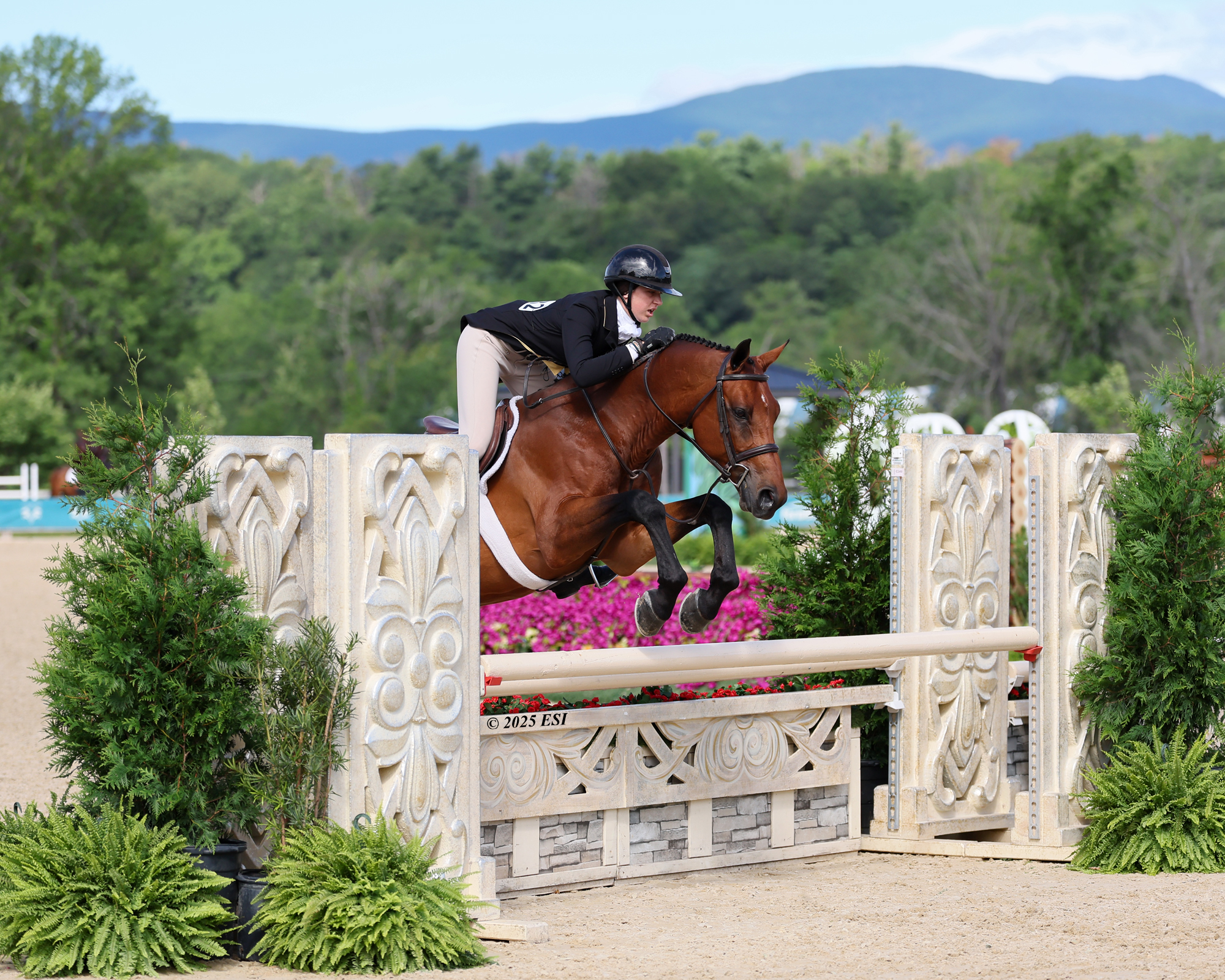 631DI4_8162_JR_NAT_2182