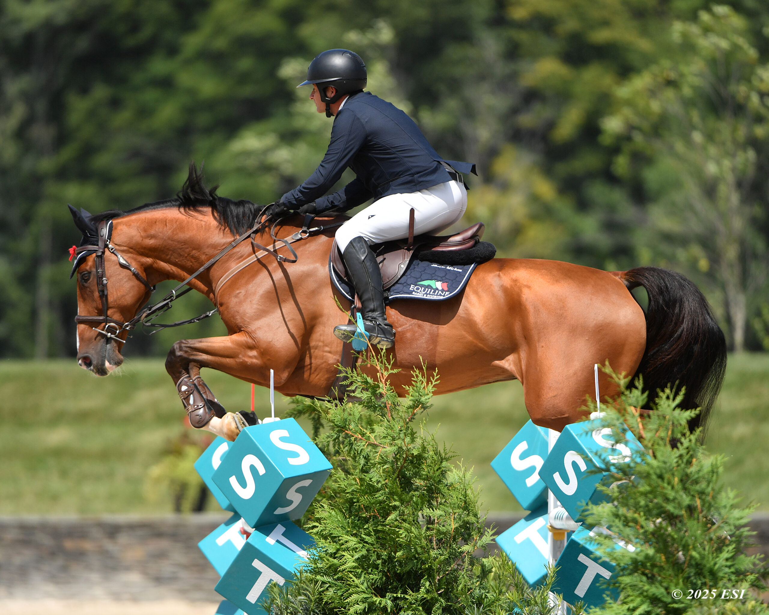 DG3_8594_EG_FEI_2842