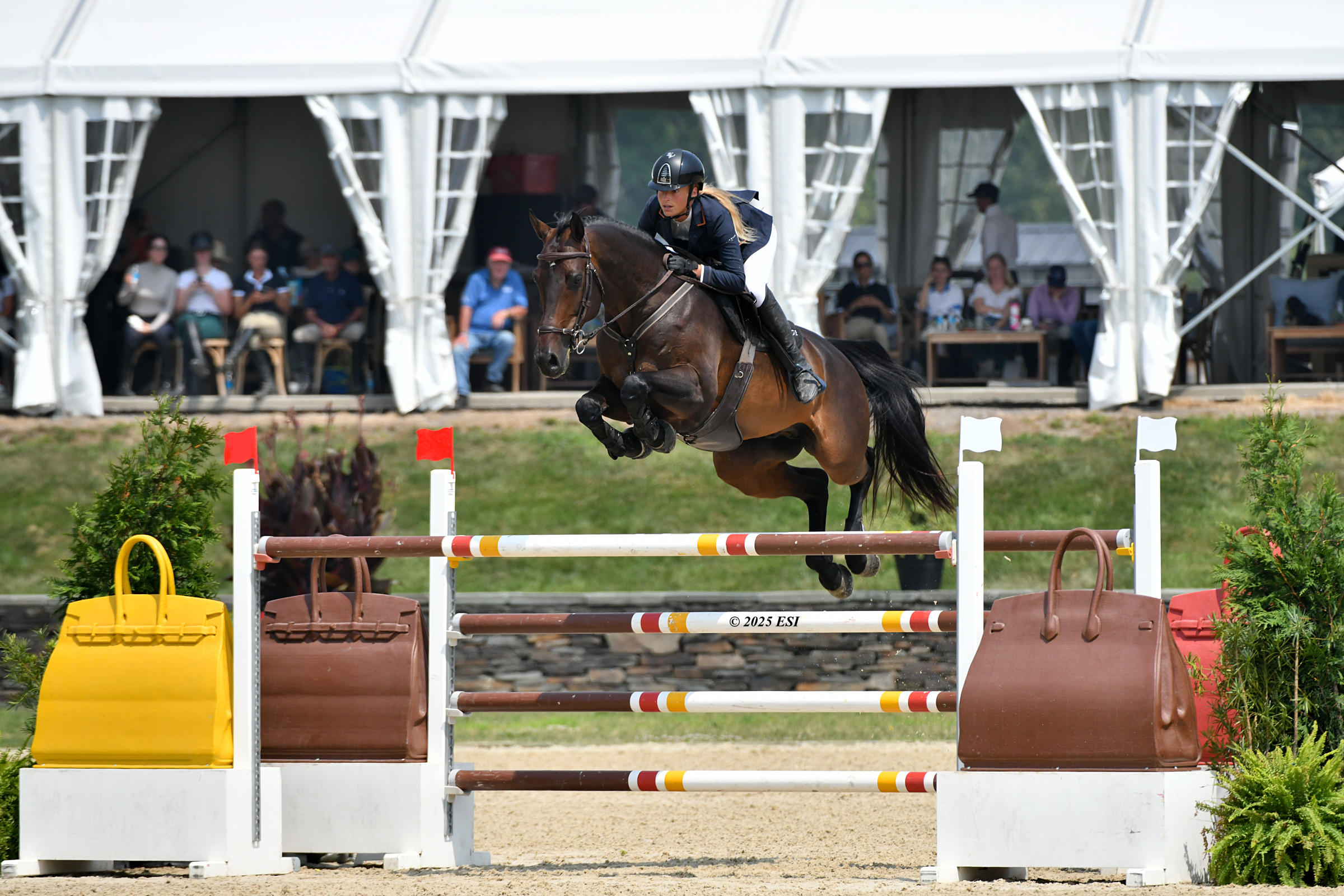 DK2_3370_CORE GP 1487