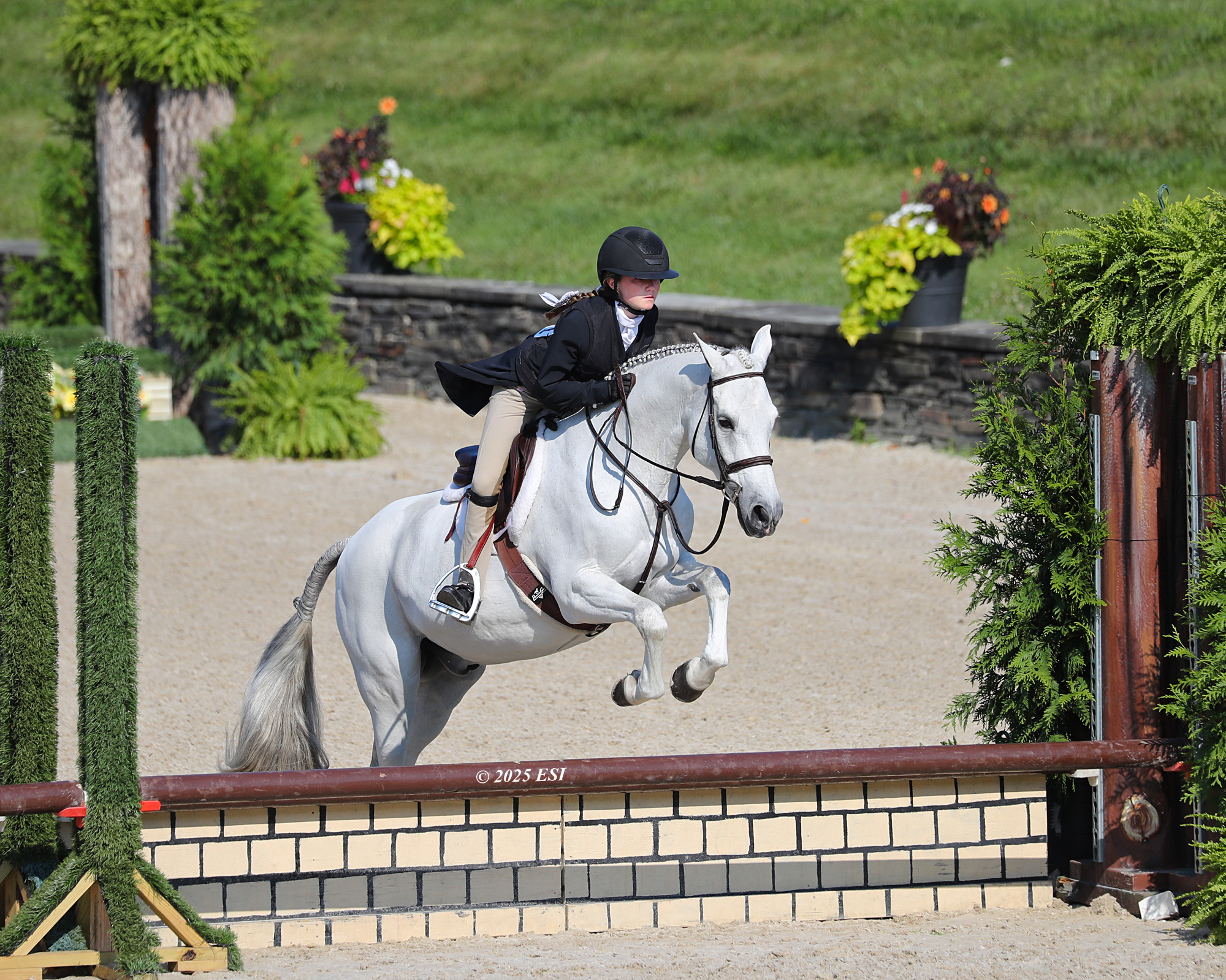 AO5I3665_CH HTR MED CHAMP 1771